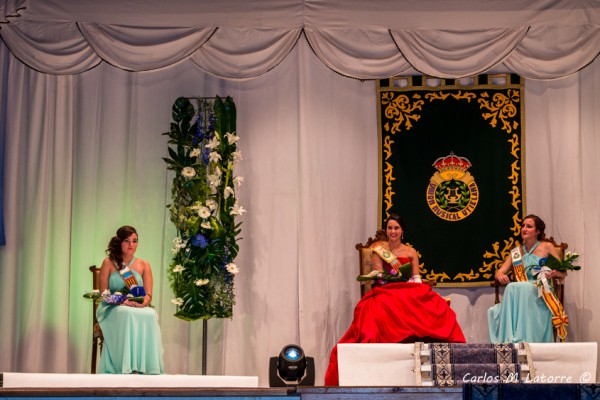 Presentación Musas 2015